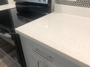 1016 NE 17th Ave in Fort Lauderdale, FL - Building Photo - Building Photo