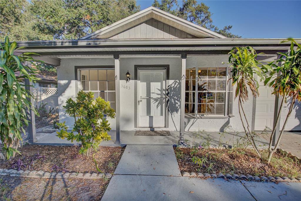 3683 Wynford Dr in Palm Harbor, FL - Building Photo