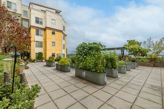 New Haven Senior Living Apartments in Seattle, WA - Building Photo - Building Photo