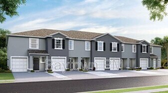 33001 Tulip Petal Ln in Wesley Chapel, FL - Building Photo