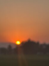 9454 California Oak Cir in Patterson, CA - Building Photo - Building Photo