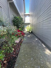 162 Pelican Loop in Pittsburg, CA - Building Photo - Building Photo