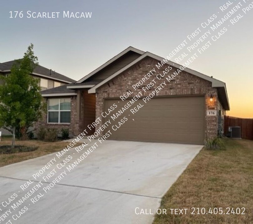 176 Scarlet Macaw in San Antonio, TX - Foto de edificio