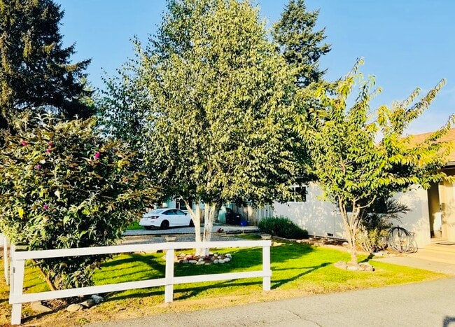 337 Spruce Dr in Brookings, OR - Building Photo - Building Photo