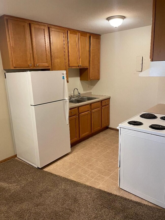 7300 Cedar Ave-Unit -303 in Richfield, MN - Building Photo - Building Photo