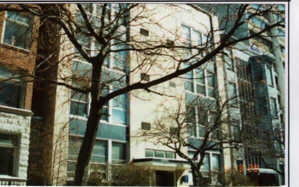 1425 N Dearborn St in Chicago, IL - Foto de edificio - Building Photo