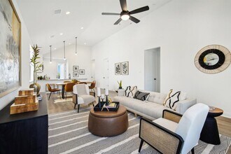 307 Orleanian Dr in Buda, TX - Building Photo - Building Photo