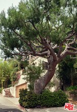 8515 Ridpath Dr in Los Angeles, CA - Building Photo - Building Photo