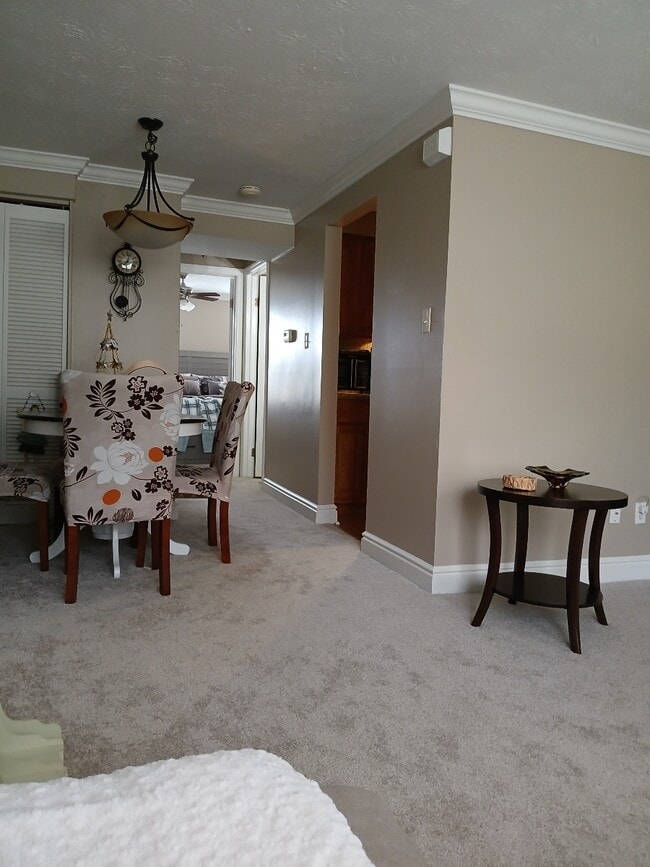 215 Driftwood Rd in Canonsburg, PA - Building Photo - Building Photo