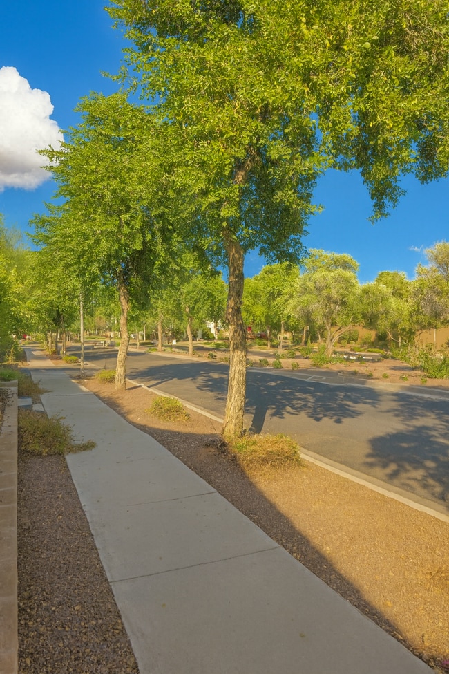 21008 W Ridge Rd in Buckeye, AZ - Building Photo - Building Photo