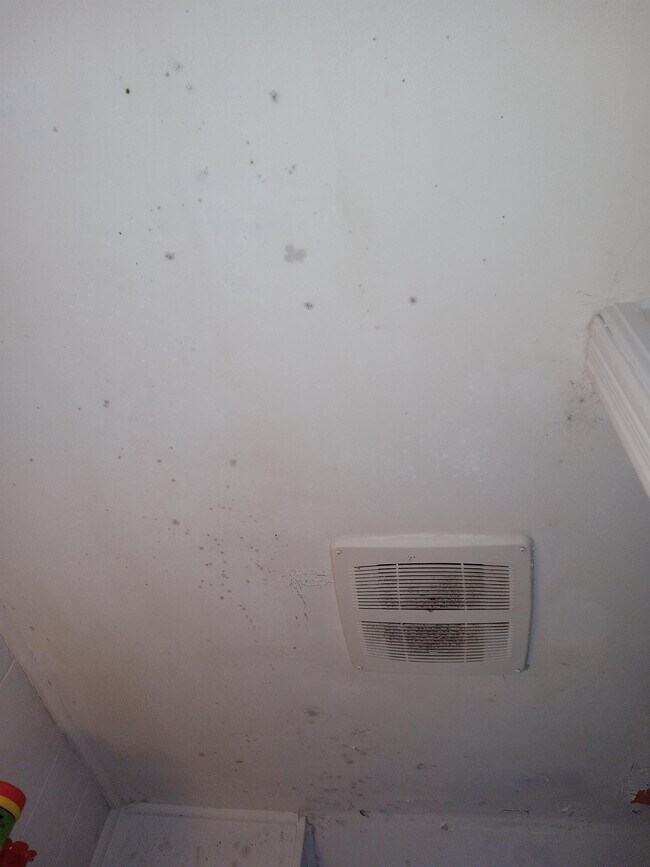 83 Chem. du Pouvoir in Edmundston, NB - Building Photo - Building Photo