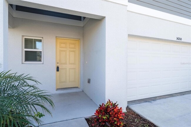 34200 Scarlet Sage Ct in Wesley Chapel, FL - Building Photo - Building Photo