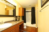 1BR-1BA A2 Bathroom - State House Apartments in Austin, Texas