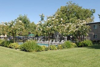 Forest Park in Chico, CA - Foto de edificio - Building Photo