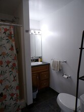 84 College Ave in Orono, ME - Building Photo - Building Photo