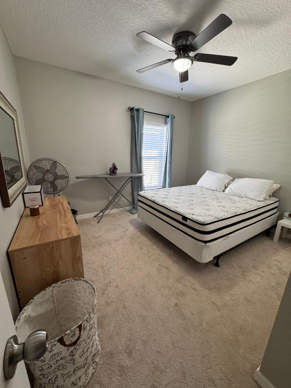 9503 Oglethorpe Dr in Groveland, FL - Building Photo - Building Photo
