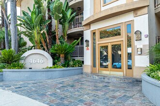 4646 Willis Ave in Sherman Oaks, CA - Building Photo - Building Photo