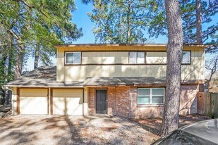 17828 Cluster Ct in Spring, TX - Building Photo