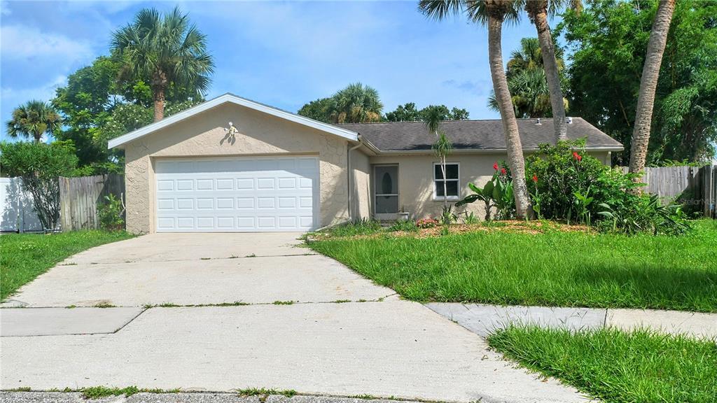 1909 Dover Ct in Oldsmar, FL - Building Photo