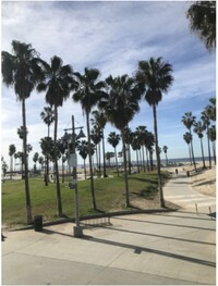 1313 Ocean Front Walk in Venice, CA - Building Photo - Building Photo