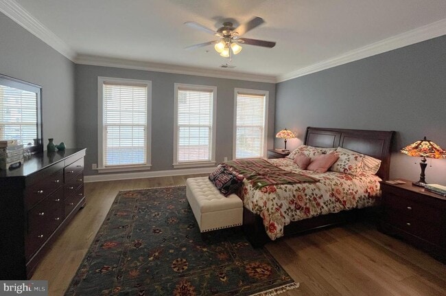 42770 Lauder Terrace in Ashburn, VA - Building Photo - Building Photo