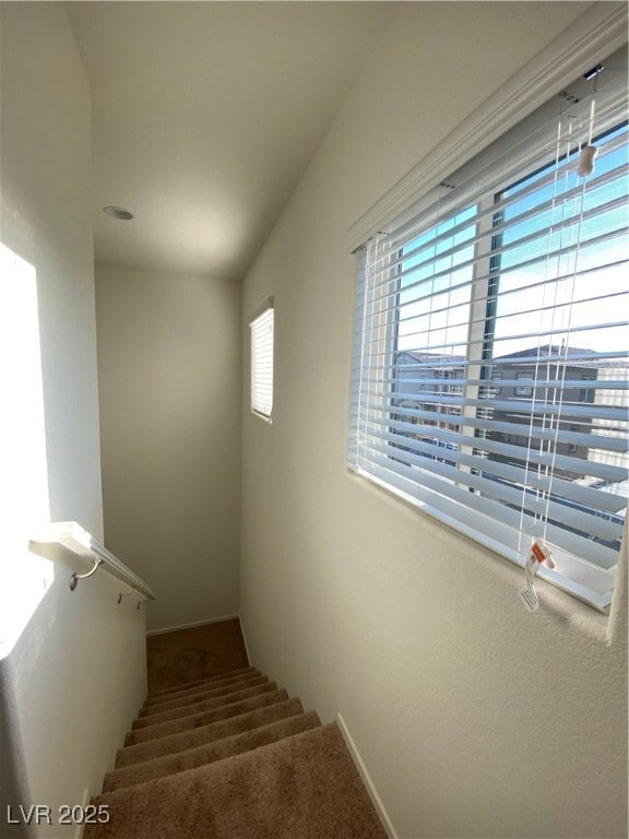 property at 4948 Quest Tribe St