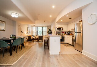 1387 Washington St, Unit 203 in Boston, MA - Building Photo - Building Photo