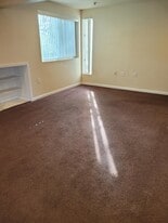 513 S Ash St in Carbondale, IL - Building Photo