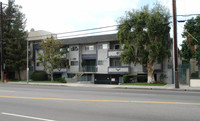 6245 Woodman Ave in Van Nuys, CA - Building Photo - Building Photo