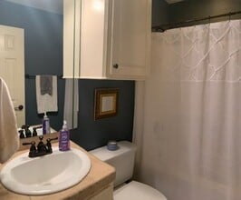 442 Springhill Point in Brandon, MS - Building Photo - Building Photo