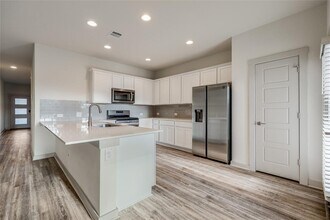 153 Filifera Ct in Leander, TX - Building Photo - Building Photo