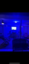 2442 Running Oak Ct in Spring Hill, FL - Building Photo - Building Photo