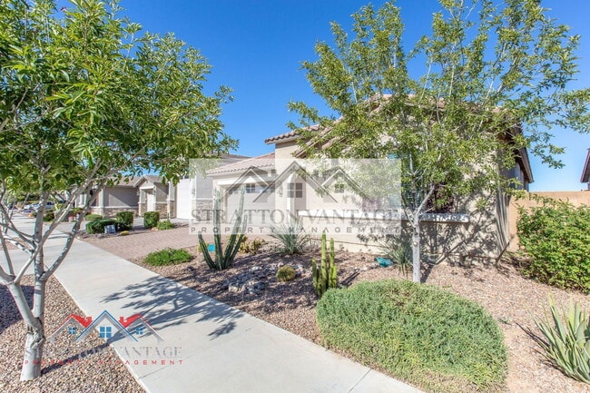 22486 E Russet Rd in Queen Creek, AZ - Building Photo - Building Photo