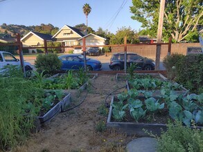 163 Deepstone Dr in San Rafael, CA - Building Photo - Building Photo