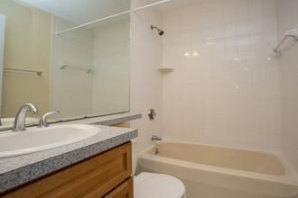 Miller Street Apartments in Quincy, MA - Building Photo - Interior Photo