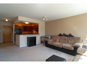 211 E Ohio St, Unit 1814 in Chicago, IL - Building Photo - Building Photo