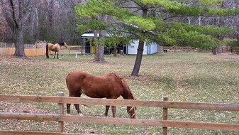 9500 Fox Valley Dr in Corcoran, MN - Building Photo