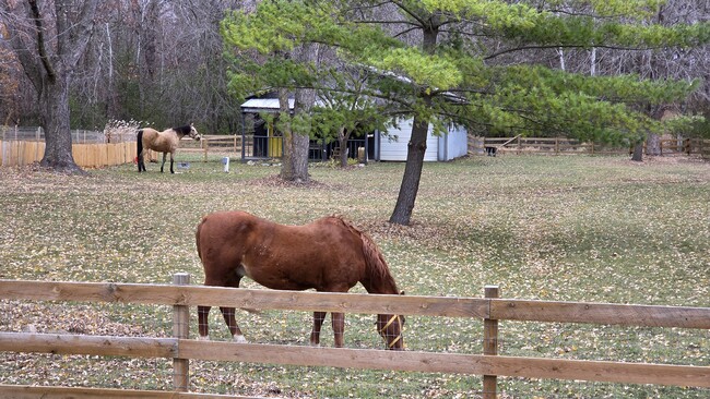 property at 9500 Fox Valley Dr