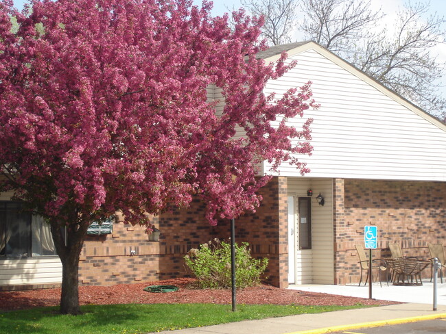 Meadowood in Darwin, MN - Foto de edificio - Building Photo