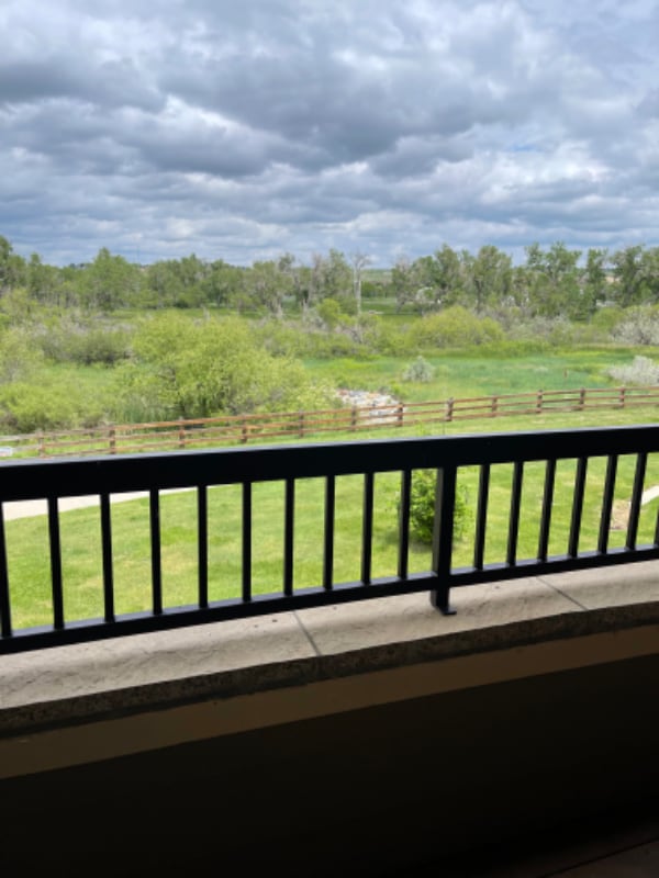 17443 Nature Walk Tr in Parker, CO - Building Photo - Building Photo