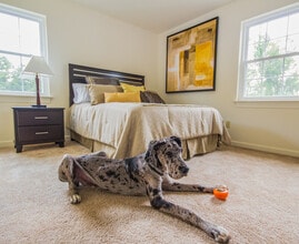 Brandon Point Apartments in Roanoke, VA - Building Photo - Building Photo