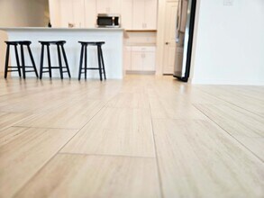 22083 Nebula Wy in Land O Lakes, FL - Building Photo - Building Photo