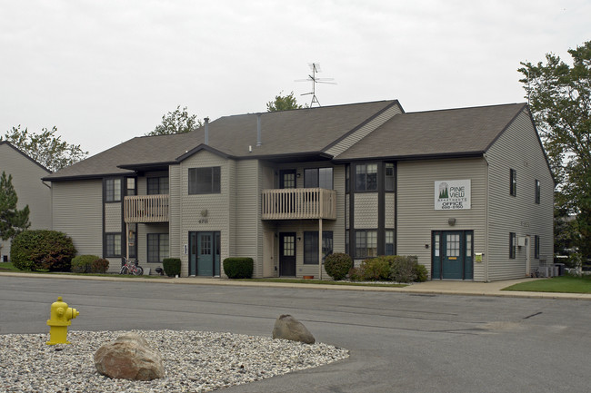 Pineview Apartments in Grand Rapids, MI - Foto de edificio - Building Photo