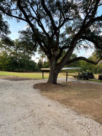 3374 Grand Point Hwy in Breaux Bridge, LA - Foto de edificio - Building Photo