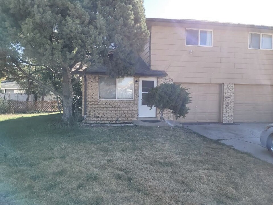 5146 Tabor St in Wheat Ridge, CO - Building Photo