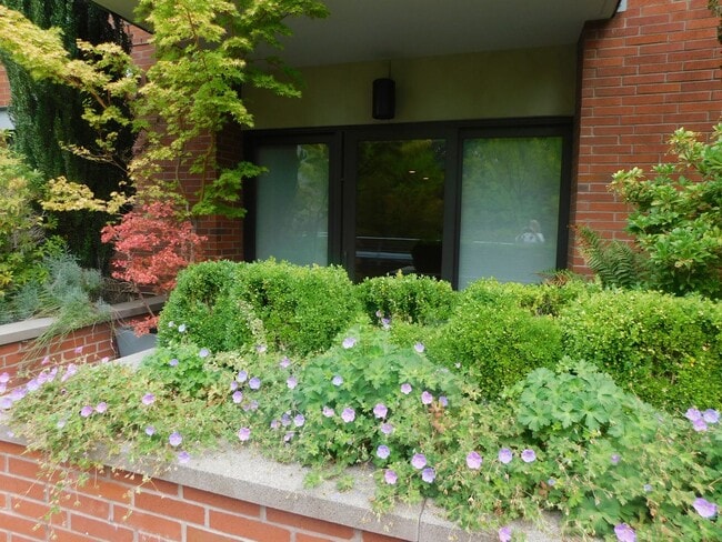 property at 1375 Olive St