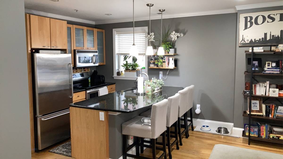 209 W Canton St in Boston, MA - Building Photo