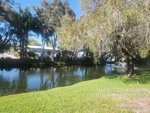 1064 Loch Haven Dr N in Dunedin, FL - Building Photo - Building Photo