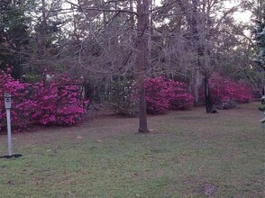 8843 SW 200th Cir in Dunnellon, FL - Building Photo - Building Photo