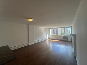 1350 N Dearborn St, Unit 1344-15A in Chicago, IL - Building Photo - Building Photo